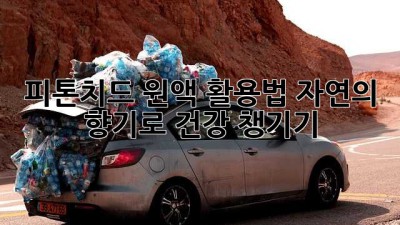 피톤치드 원액 활용법🌿 자연의 향기로 건강 챙기기